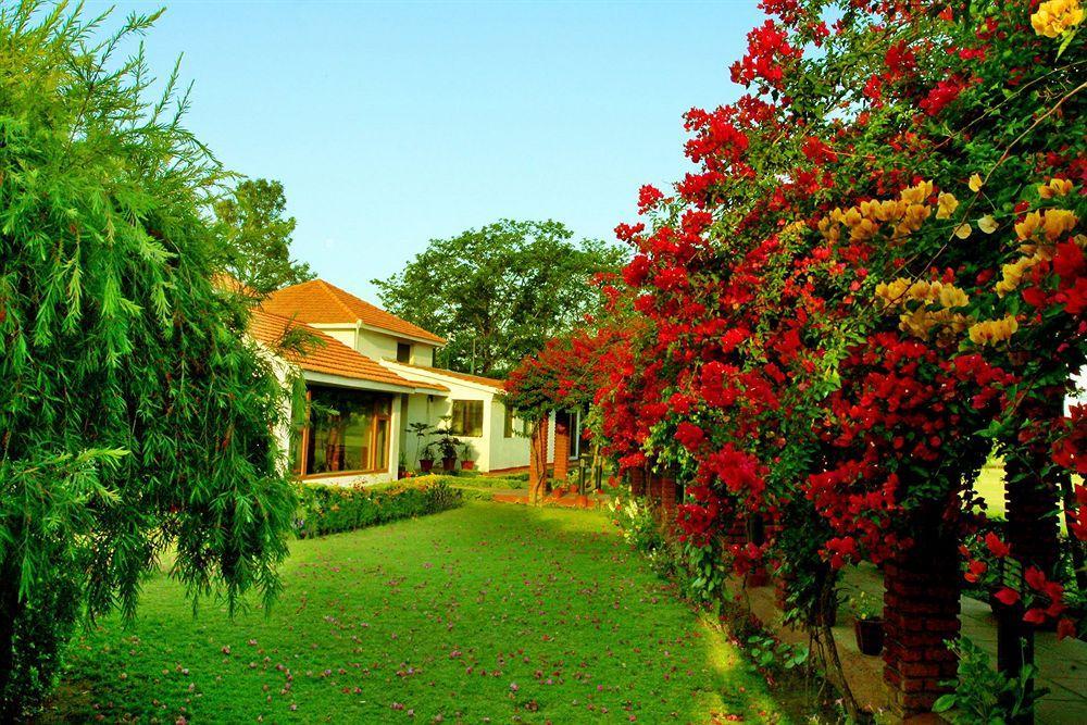 Naturoville Ayurvedic And Yoga Retreat Hotel Rishikesh Exterior photo