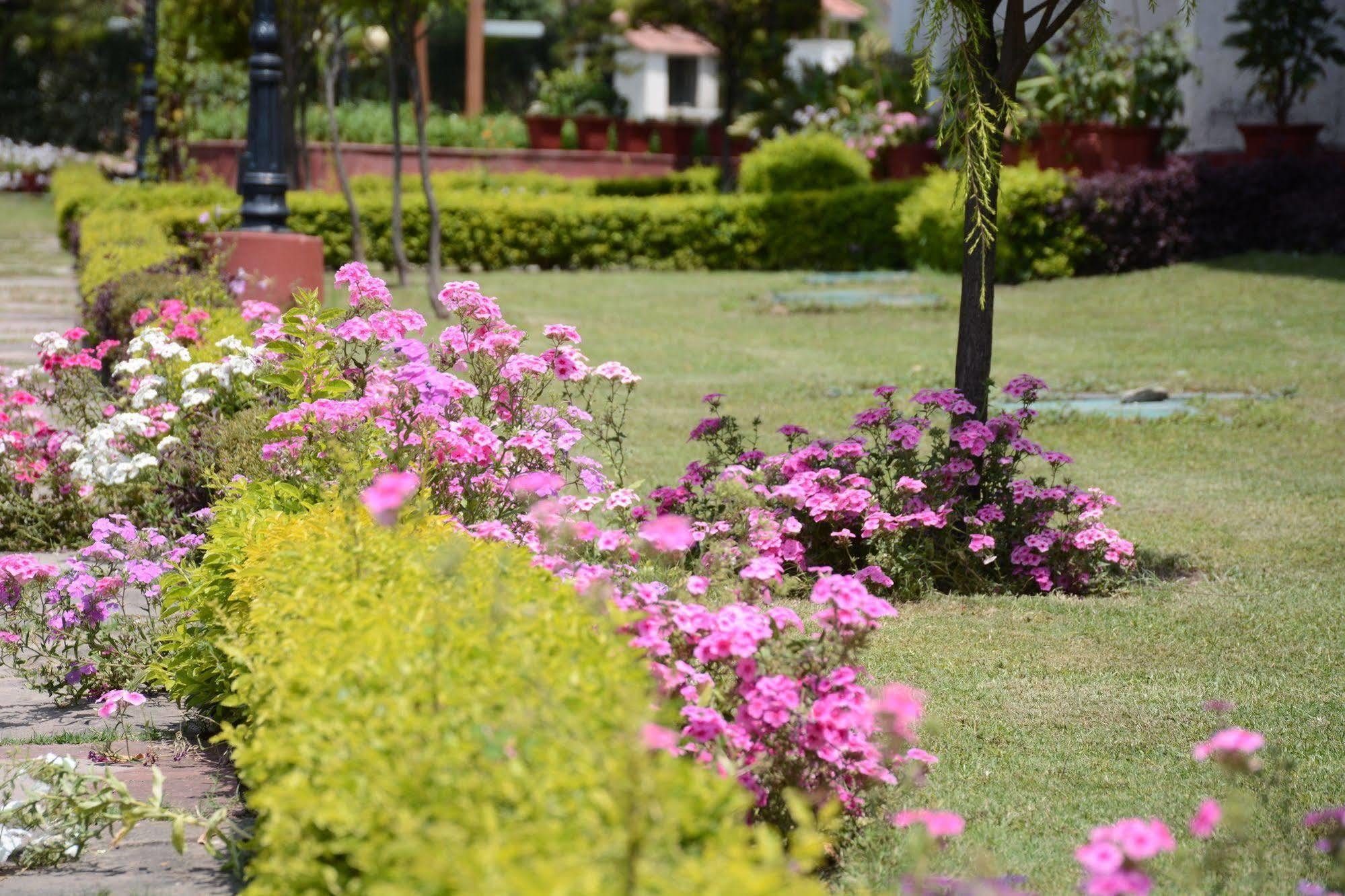 Naturoville Ayurvedic And Yoga Retreat Hotel Rishikesh Exterior photo
