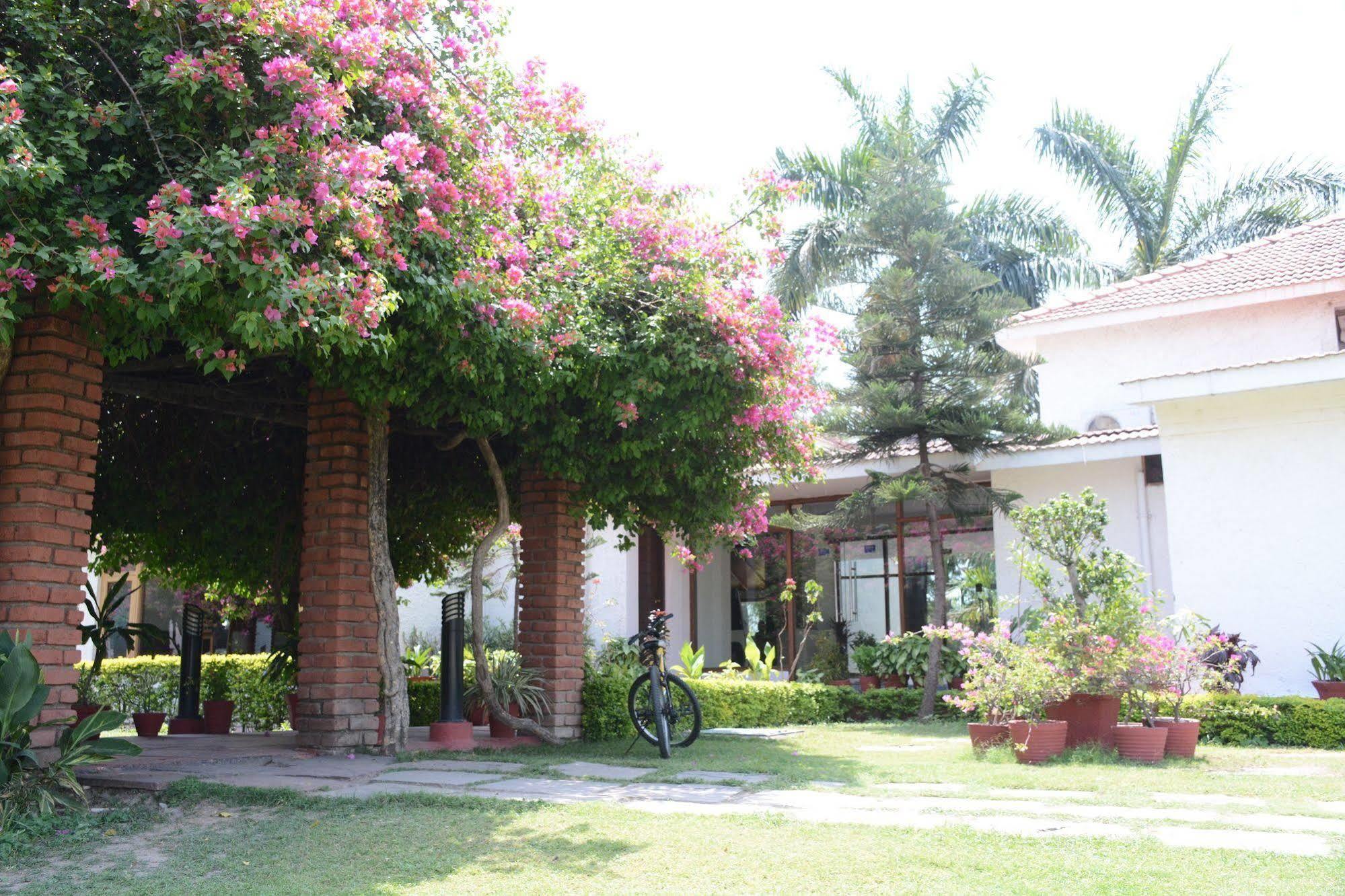 Naturoville Ayurvedic And Yoga Retreat Hotel Rishikesh Exterior photo